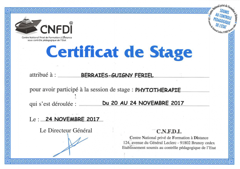 Attestation De Stage